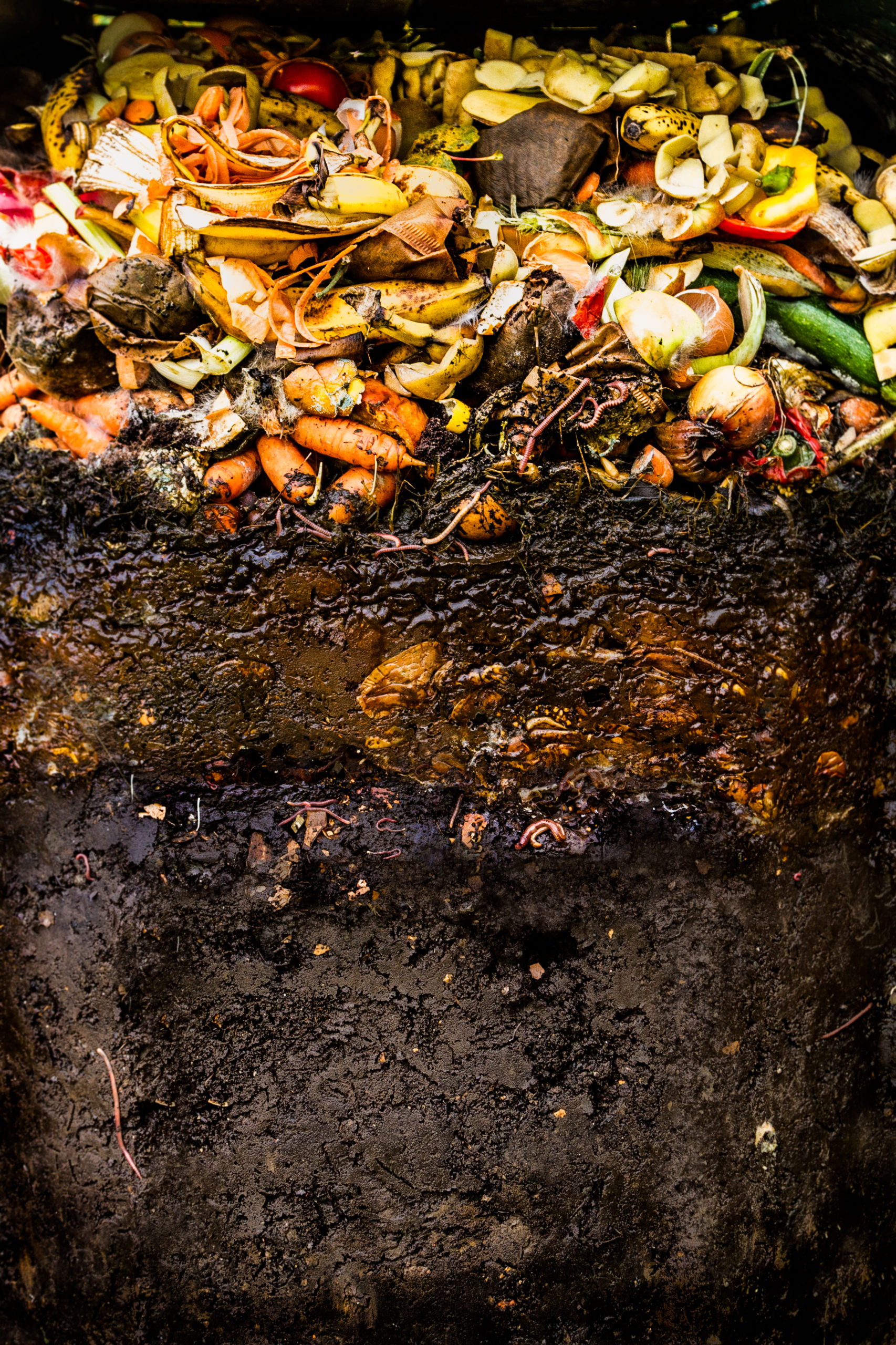 Organic compost tea | vermicast | organic compost