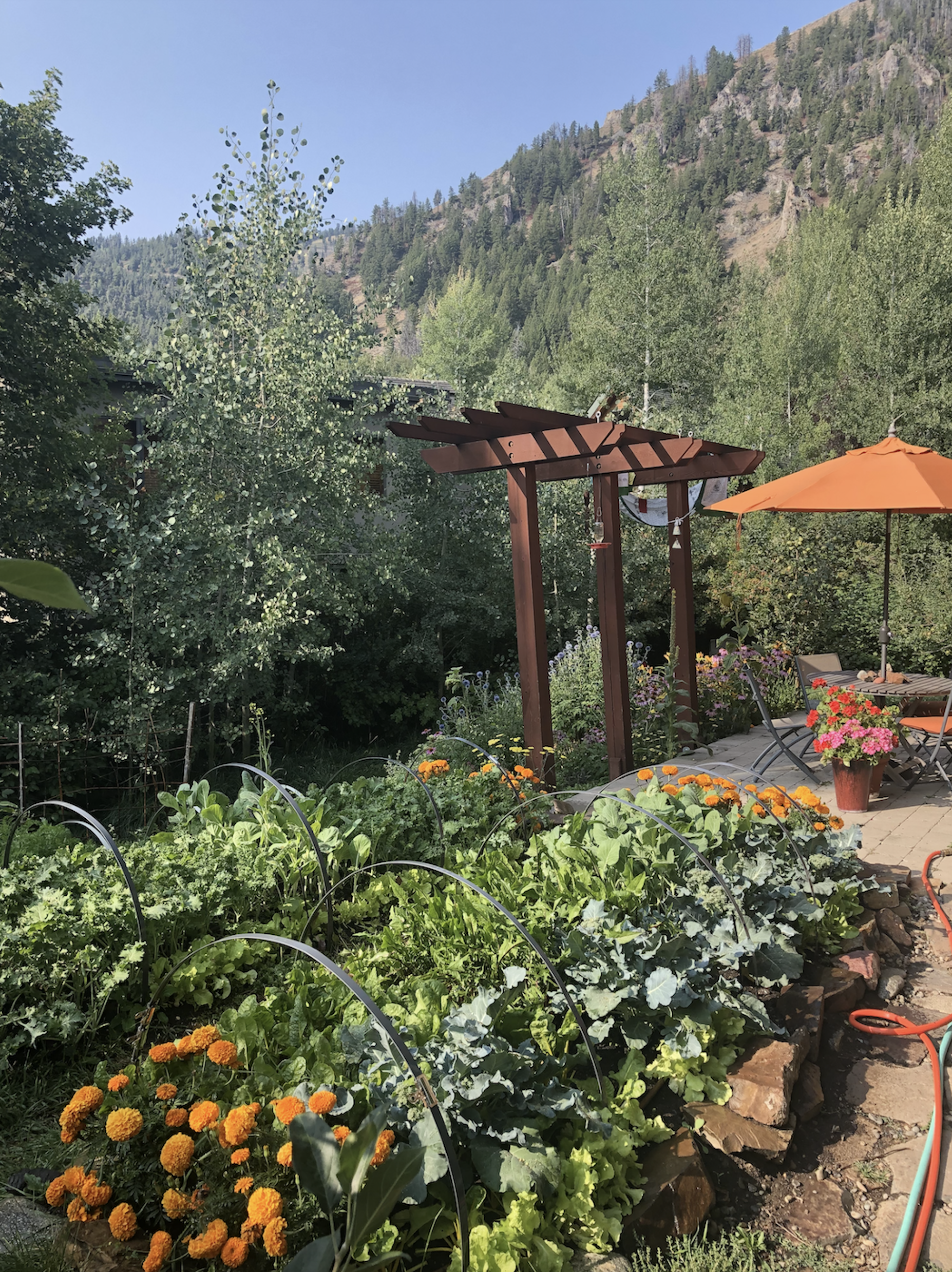 organic compost results | Mountain valley compost and tree care